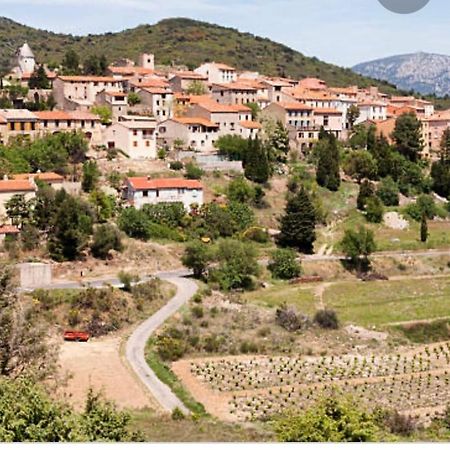 Gite L'Olivier Villa Cucugnan Exterior photo