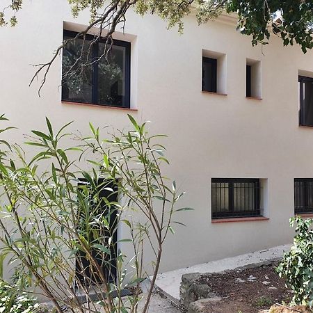 Gite L'Olivier Villa Cucugnan Exterior photo