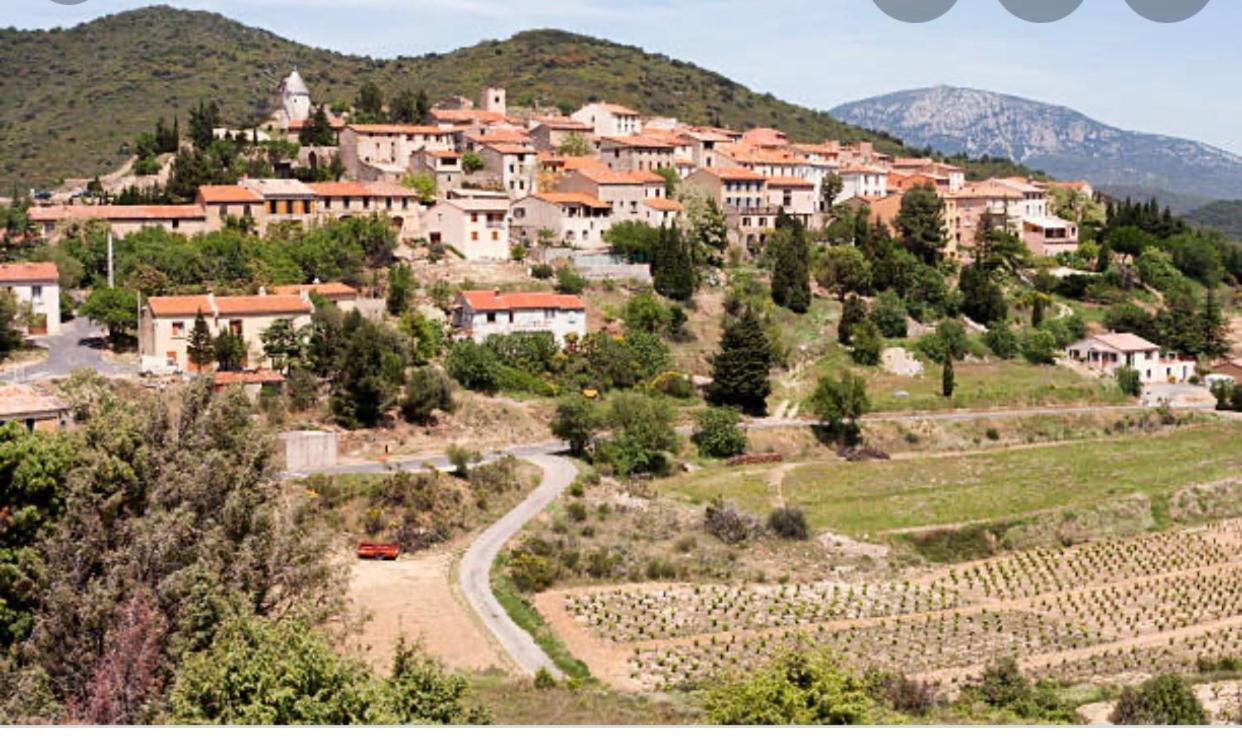 Gite L'Olivier Villa Cucugnan Exterior photo