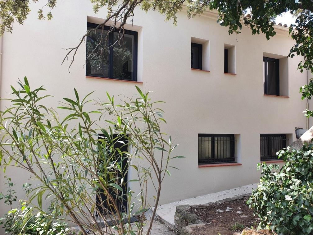 Gite L'Olivier Villa Cucugnan Exterior photo